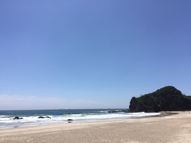 荒れ気味